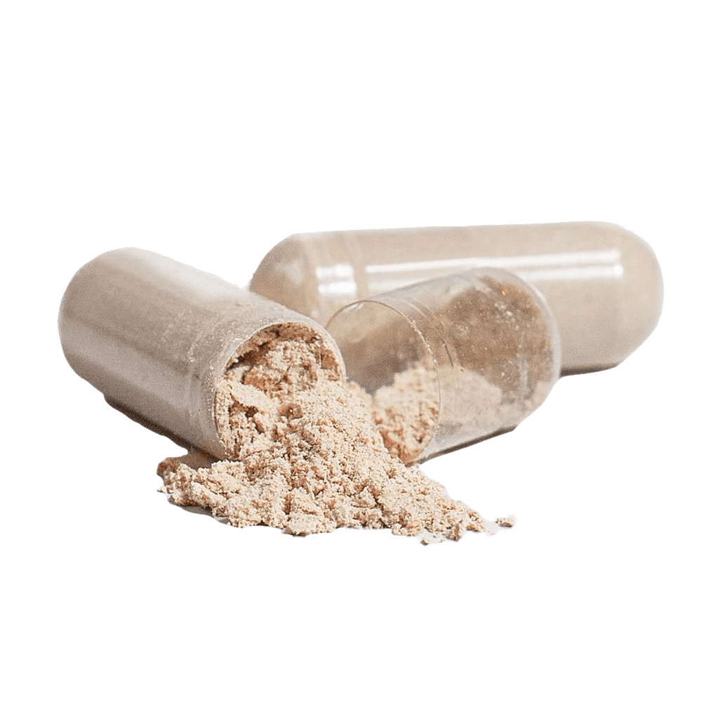 Cordyceps Power
