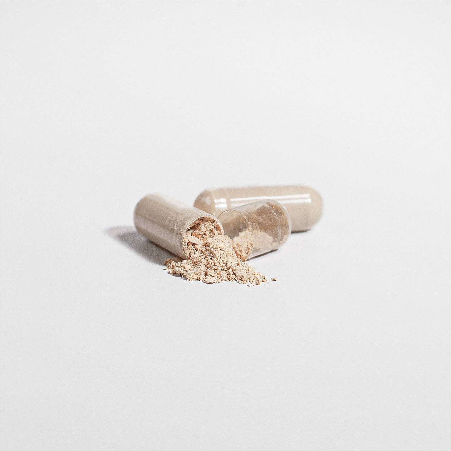 Cordyceps Power